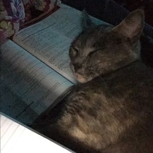 Meet your Posher, Heather